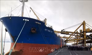 TKV rót hơn 40.000 tấn than trong ngày đầu năm mới 2019