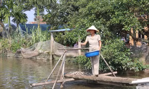 Giảm lãi suất cho vay các chương trình tín dụng chính sách