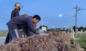 Diện mạo mới cho vùng nông thôn bãi ngang ven biển, miền núi
