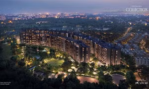 Orchard Collection - Sycamore và giao điểm của chuẩn sống tương lai