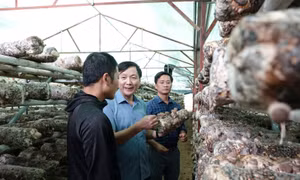 Xã vùng cao xóa bỏ tư tưởng trông chờ, ỷ lại để giảm nghèo bền vững