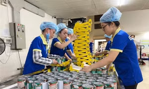 Chính phủ ban hành 15 Nghị định về Biểu thuế nhập khẩu ưu đãi đặc biệt giúp các doanh nghiệp có lợi thế xuất khẩu các mặt hàng đi thế giới