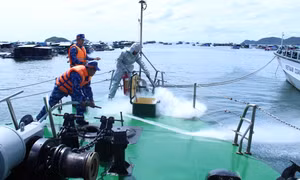 Lực lượng Cảnh sát biển thực hiện nội dung chống cháy trên biển.