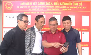 Hướng dẫn việc khai thác, sử dụng VneID trong bầu cử đại biểu Quốc hội khóa XVI