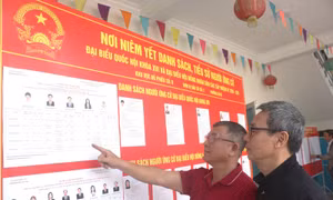 Cuộc bầu cử đại biểu Quốc hội khóa XVI thành công tốt đẹp 