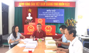 Thẩm quyền và cách thức xác định khu vực bỏ phiếu