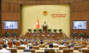 Ngày 13/11, Quốc hội biểu quyết thông qua Nghị quyết về kế hoạch phát triển kinh tế - xã hội năm 2026