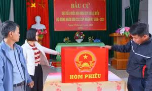 Những nội dung cơ bản về nguyên tắc, trình tự bỏ phiếu
