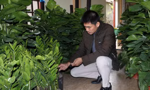 Gỡ khó trong phát triển Đảng viên ở vùng có đạo - Bài 1: 'Hạt giống đỏ' của vùng công giáo