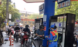Những chỉ đạo, điều hành của Chính phủ, Thủ tướng Chính phủ nổi bật tuần từ 31/10 - 4/11