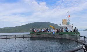 Năm tỉnh ven biển sẽ thí điểm thiết lập một số điểm du lịch cộng đồng nghề cá