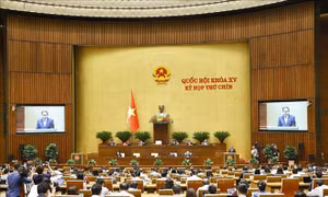Nghị quyết về chất vấn tại Kỳ họp thứ 9
