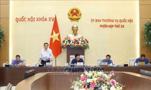 Chủ tịch Quốc hội: Nhà ở xã hội không nên bán mua, mà chỉ cho thuê thôi
