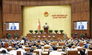 Bộ trưởng Bộ Công an: Phạm nhân được hiến mô, bộ phận cơ thể khi đảm bảo đủ các điều kiện
