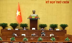 Ngày 17/6, Quốc hội thảo luận về kế hoạch phát triển kinh tế xã hội và ngân sách nhà nước