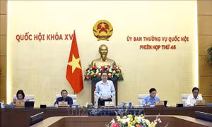 Ủy ban Thường vụ Quốc hội thảo luận, cho ý kiến về 38 nội dung quan trọng