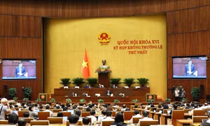 Ngày 9/8, Quốc hội tiếp tục thảo luận về hai dự án luật liên quan đến lĩnh vực tài chính, ngân hàng