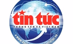 Năm 2021 sẽ giảm 3.867 biên chế công chức