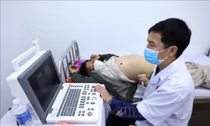 Những chỉ đạo, điều hành của Chính phủ, Thủ tướng Chính phủ nổi bật tuần từ 18 - 24/3