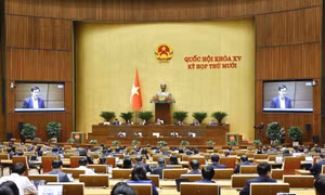 Quy định rõ cơ chế phối hợp khi tích hợp các chương trình mục tiêu quốc gia để tránh chồng chéo