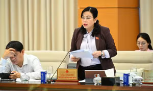 Đưa Quốc hội lại gần cử tri 