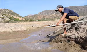 Đánh giá lại vì sao vẫn còn đất nông nghiệp bị bỏ hoang
