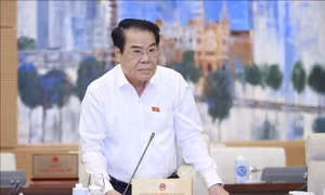 Ban Dân nguyện đề nghị giải quyết dứt điểm 2 vụ việc phức tạp, kéo dài