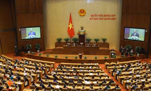 Ngày 6/4, Quốc hội bầu Phó Chủ tịch nước và một số ủy viên Ủy ban Thường vụ Quốc hội