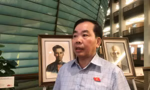 Đại biểu Nguyễn Quang Huân: Việc tăng giá điện cần có lộ trình