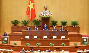 Đại biểu Quốc hội kỳ vọng sẽ thông qua được Quy hoạch tổng thể quốc gia và Luật Khám bệnh, chữa bệnh