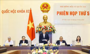 Việc tổ chức bầu cử tại TP Hà Nội, TP Hồ Chí Minh và TP Đà Nẵng có điểm gì khác biệt?