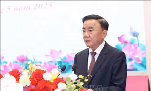 Kết luận của Bộ Chính trị, Ban Bí thư về sắp xếp tổ chức bộ máy và đơn vị hành chính