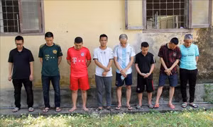 Phòng ngừa tội phạm liên quan đến hoạt động tổ chức đánh bạc và đánh bạc