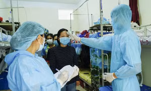 Ngày 6/7, Việt Nam thêm 14 ca dương tính với COVID-19, đều được cách ly