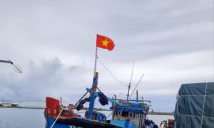 Trung tâm Dịch vụ Hậu cần - Kỹ thuật đảo Trường Sa khắc phục sự cố cho tàu cá Bình Định