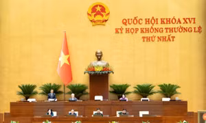 Tăng cường năng lực thực thi ở cấp trực tiếp xử lý tình huống