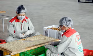 Sơn La hỗ trợ công nhân đi lao động tại các tỉnh phía Nam trở về ổn định cuộc sống