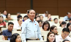Không để 'giật cục' dòng vốn tín dụng