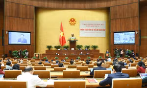 Ủy ban Thường vụ Quốc hội tổ chức chất vấn nhóm vấn đề thuộc lĩnh vực Tòa án và Kiểm sát 