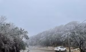Tin nổi bật ngày 9/1
