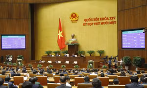 Không vì thiếu đại biểu chuyên trách mà hạ thấp tiêu chuẩn