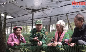 Hoàn thiện cơ chế triển khai Chương trình mục tiêu Quốc gia
