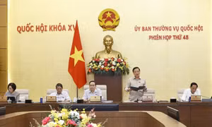 Coi trọng sử dụng nguồn nhân lực chất lượng cao phục vụ phát triển kinh tế xã hội