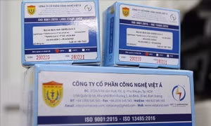 Quy định phục hồi quyền lợi của đảng viên bị kỷ luật oan; kết luận điều tra vụ Công ty Việt Á