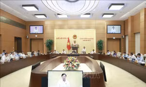 Đưa ra giải pháp bảo đảm hiệu quả, chất lượng giải quyết khiếu nại, tố cáo