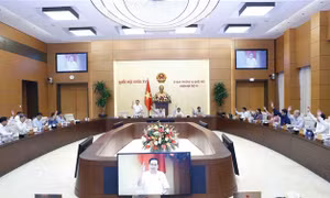 Quy định vị trí, chức năng, nhiệm vụ của Ban Công tác đại biểu
