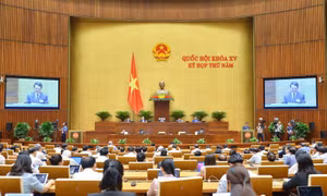 Bộ trưởng, Chủ nhiệm UBDT Hầu A Lềnh phát biểu tại phiên chất vấn và trả lời chất vấn tại Quốc hội.