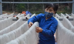 Thanh Hóa tập trung triển khai đồng bộ, linh hoạt thực hiện ‘mục tiêu kép’