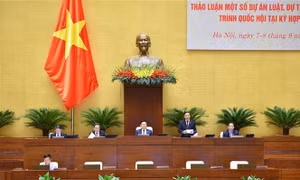 Nên giữ nguyên hệ thống cơ quan thanh tra cấp hành chính