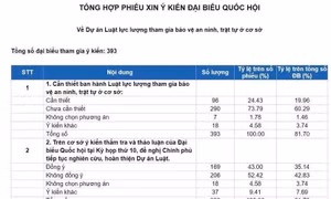 290 đại biểu không tán thành việc ban hành Luật Lực lượng tham gia bảo vệ an ninh, trật tự ở cơ sở